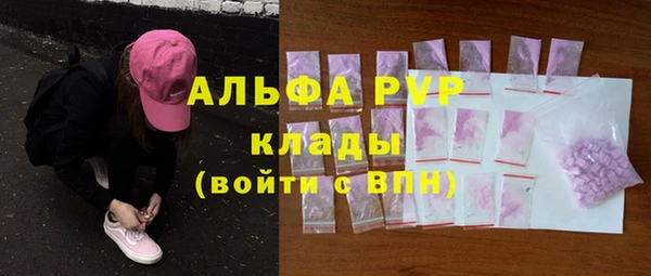 стаф Арсеньев