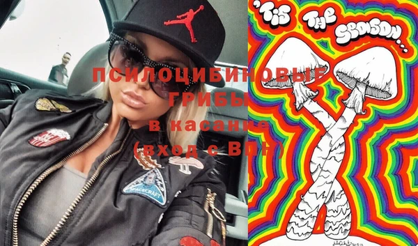 стаф Арсеньев