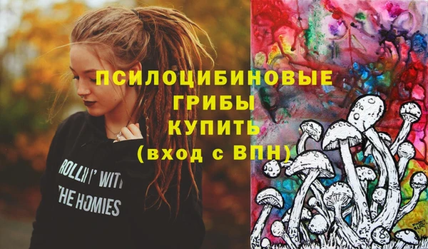 тгк Армянск
