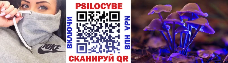 kraken как зайти магазин продажи Ревда Галлюциногенные грибы ЛСД